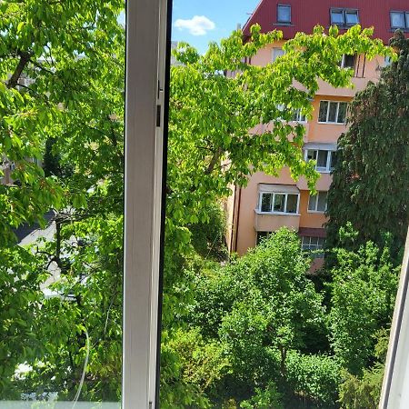 Apartament Florilor Baia Mare Zewnętrze zdjęcie