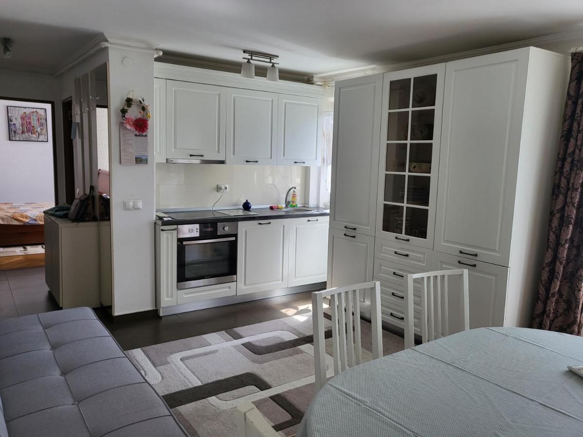 Apartament Florilor Baia Mare Zewnętrze zdjęcie