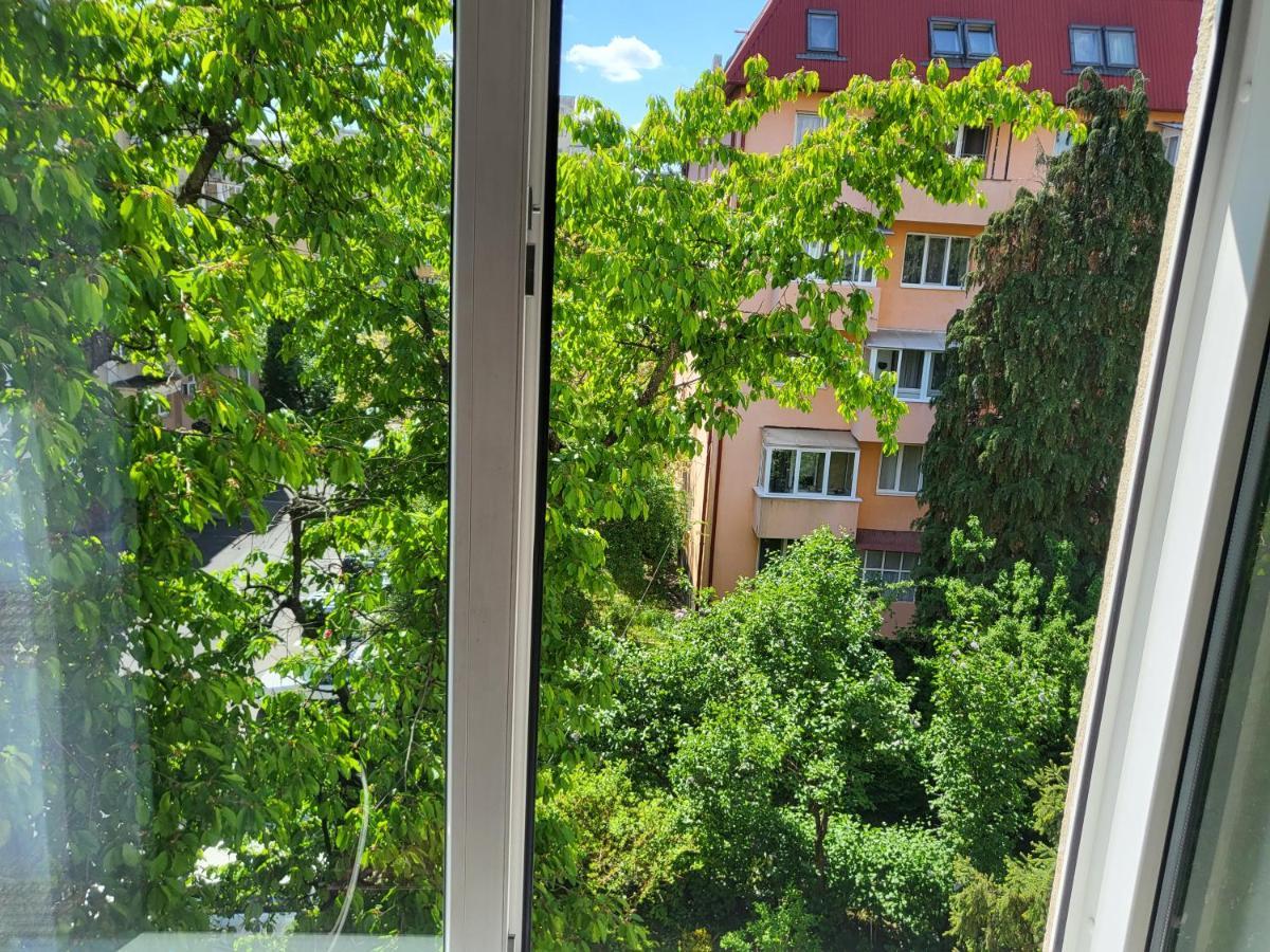 Apartament Florilor Baia Mare Zewnętrze zdjęcie