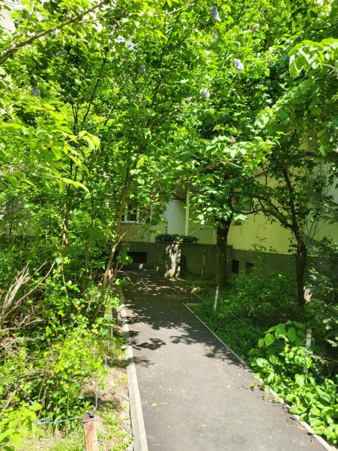 Apartament Florilor Baia Mare Zewnętrze zdjęcie